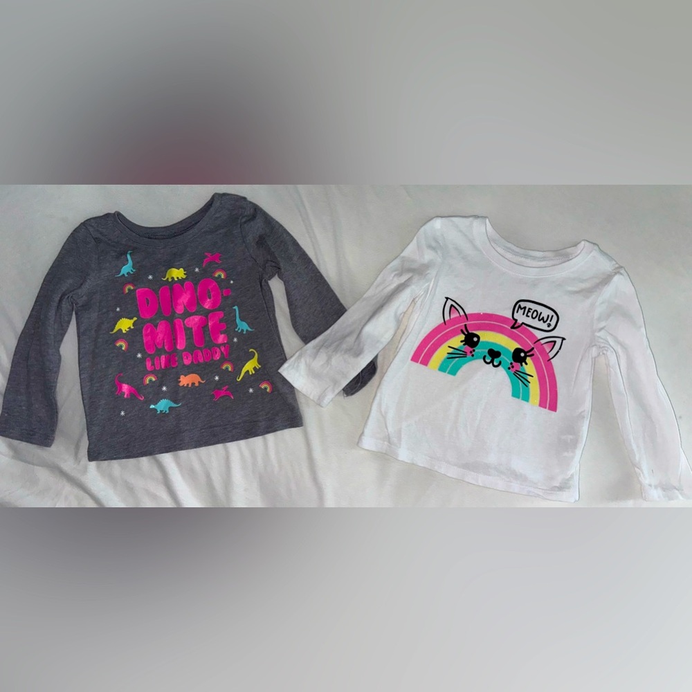 The Children’s Place Baby Girl Graphic Tees (2) size 12-18m